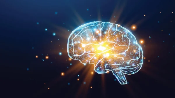 Պայծառ ուղեղի պայմանը | «Մեդիան հանուն կրթության» ՀԿ